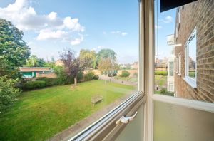 Communal garden- click for photo gallery